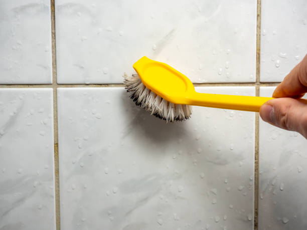 Best Post-Remediation Services in Buckhall, VA