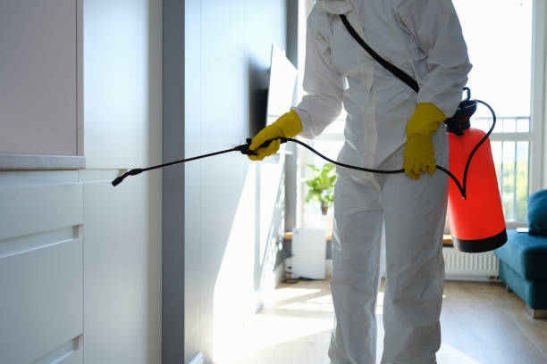 Reliable Buckhall, VA Mold Remediation Solutions