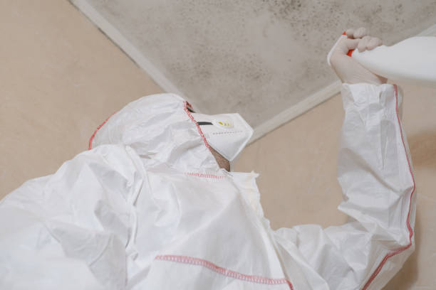 Best Mold Testing and Inspection Services in Buckhall, VA